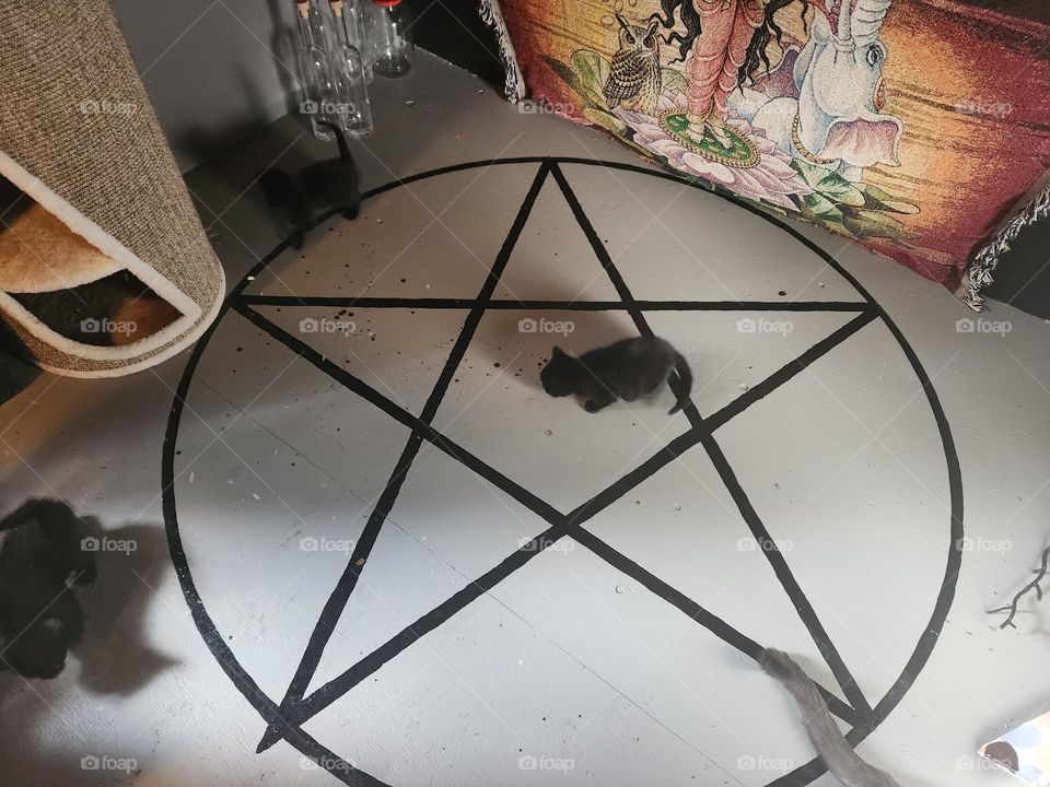 black cat pentagram