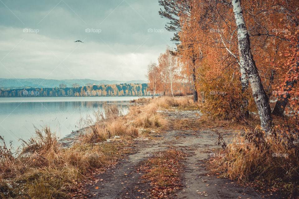 Scenic view of autumn trees and lake