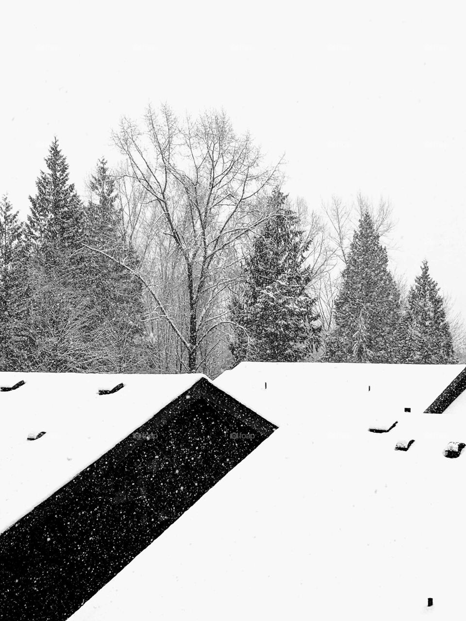 Black and white winter scene. Snow on roof tops. Snowing black and white  photo. Snow on trees