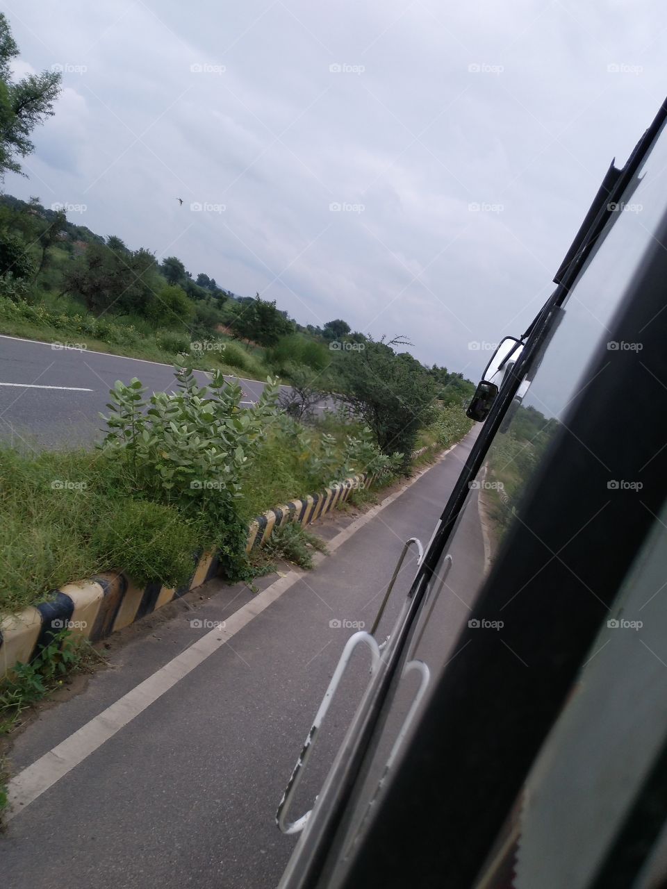 View of nature from bus window