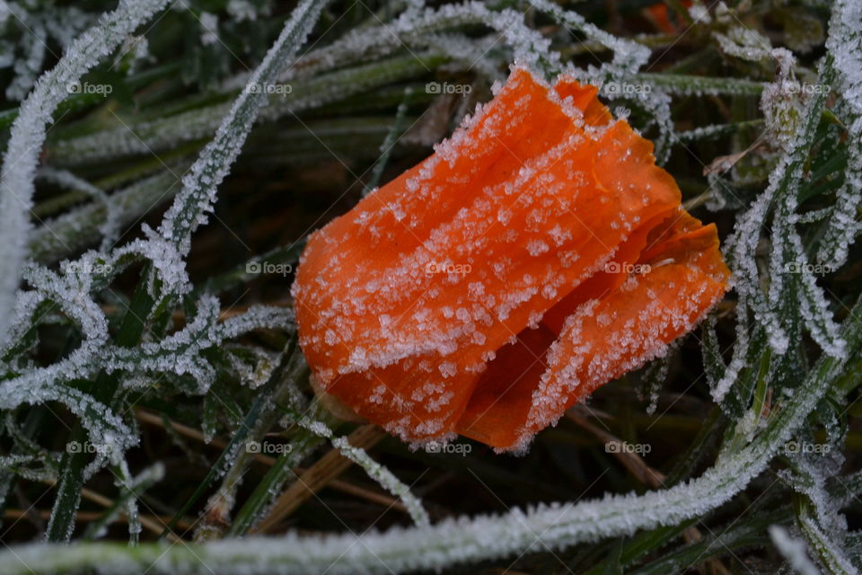 Beautiful nature around you