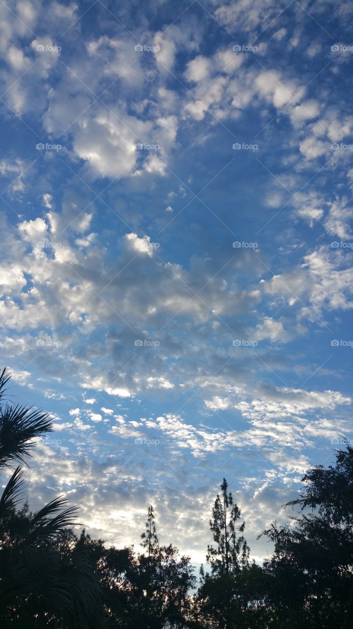 Partly cloudy Morning sky in Mesa Arizona