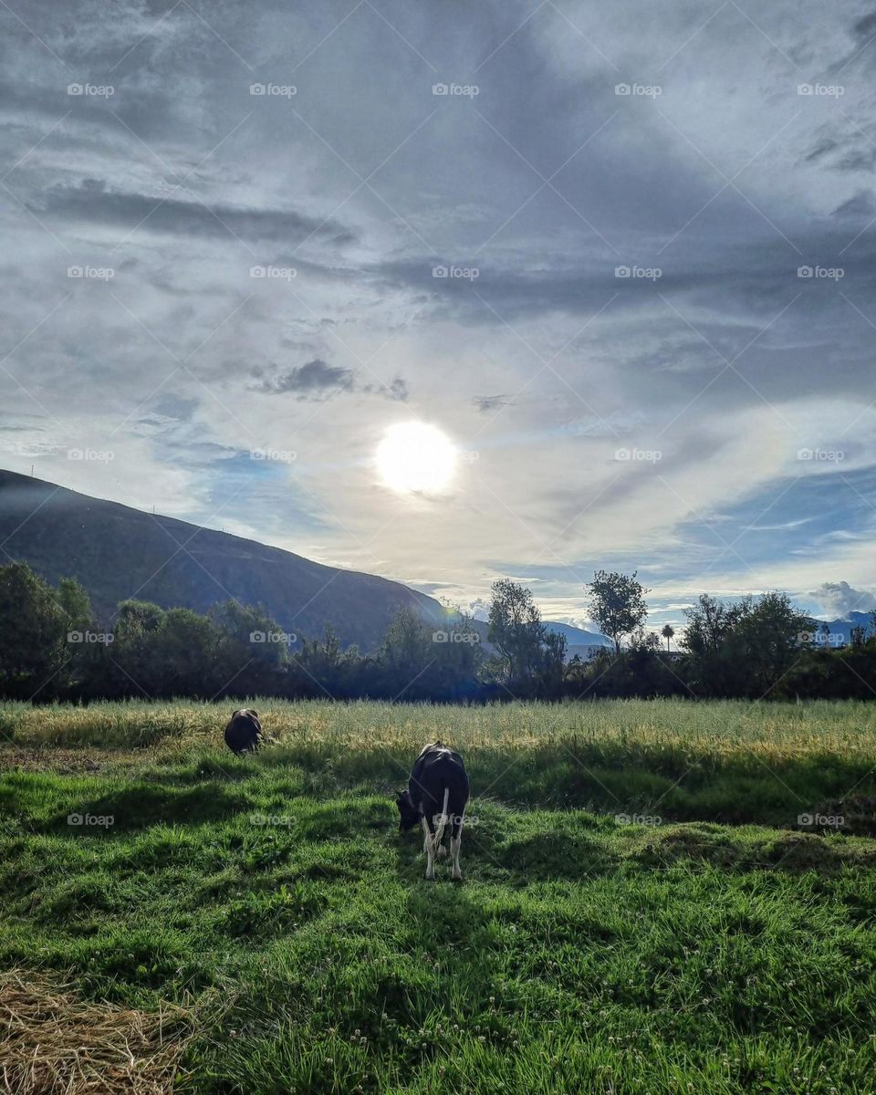 Countryside in Sacred Valley