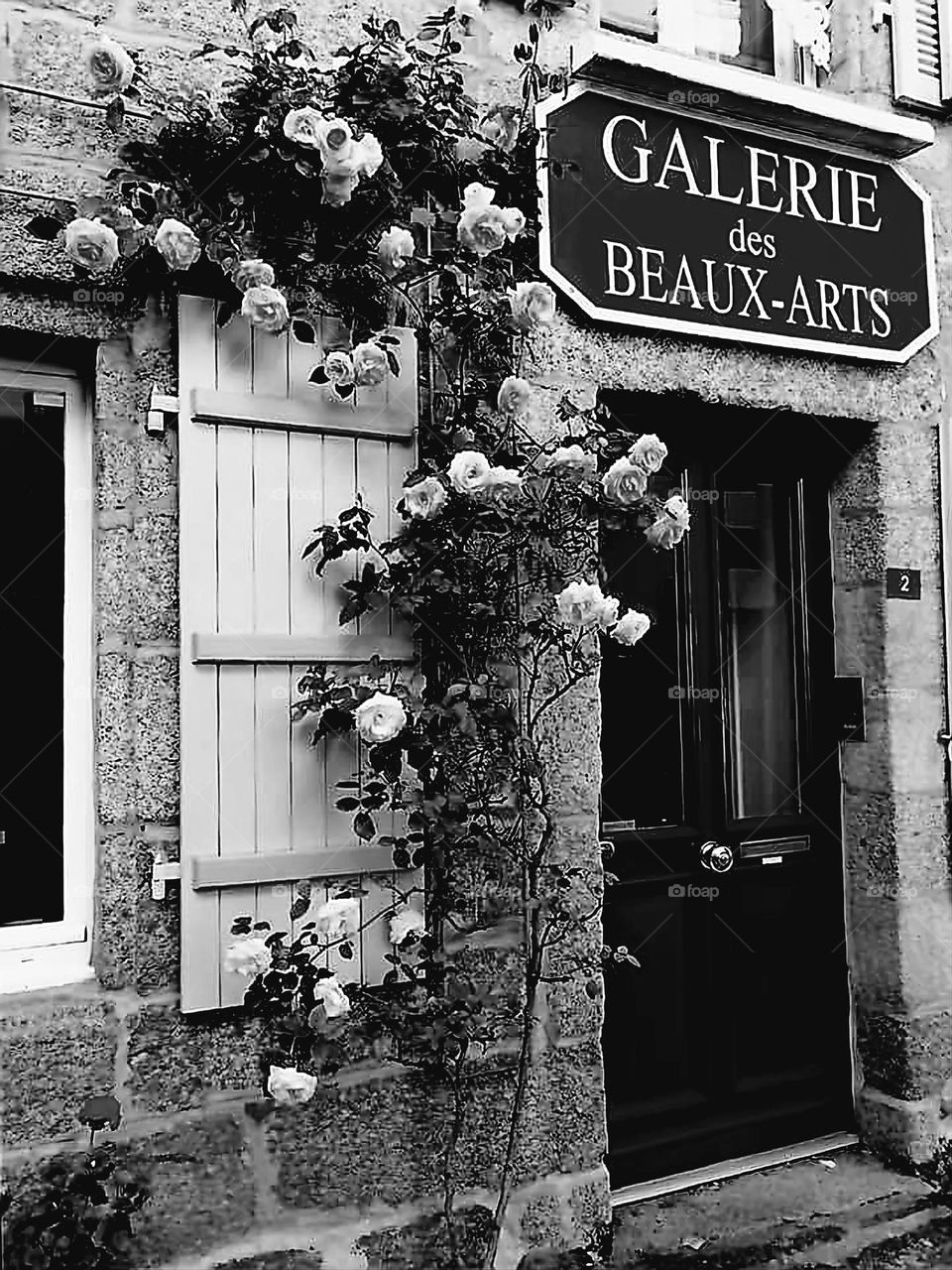 Black and white shot of a vintage looking art gallery entrance door with its gallery sign and blooming rambler in Pont-Aven