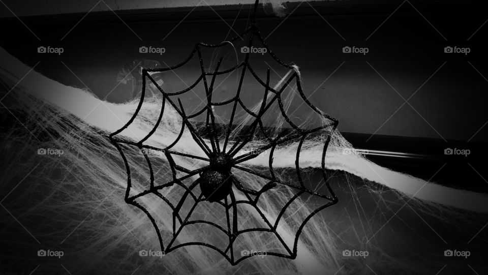 Spider on web decoration