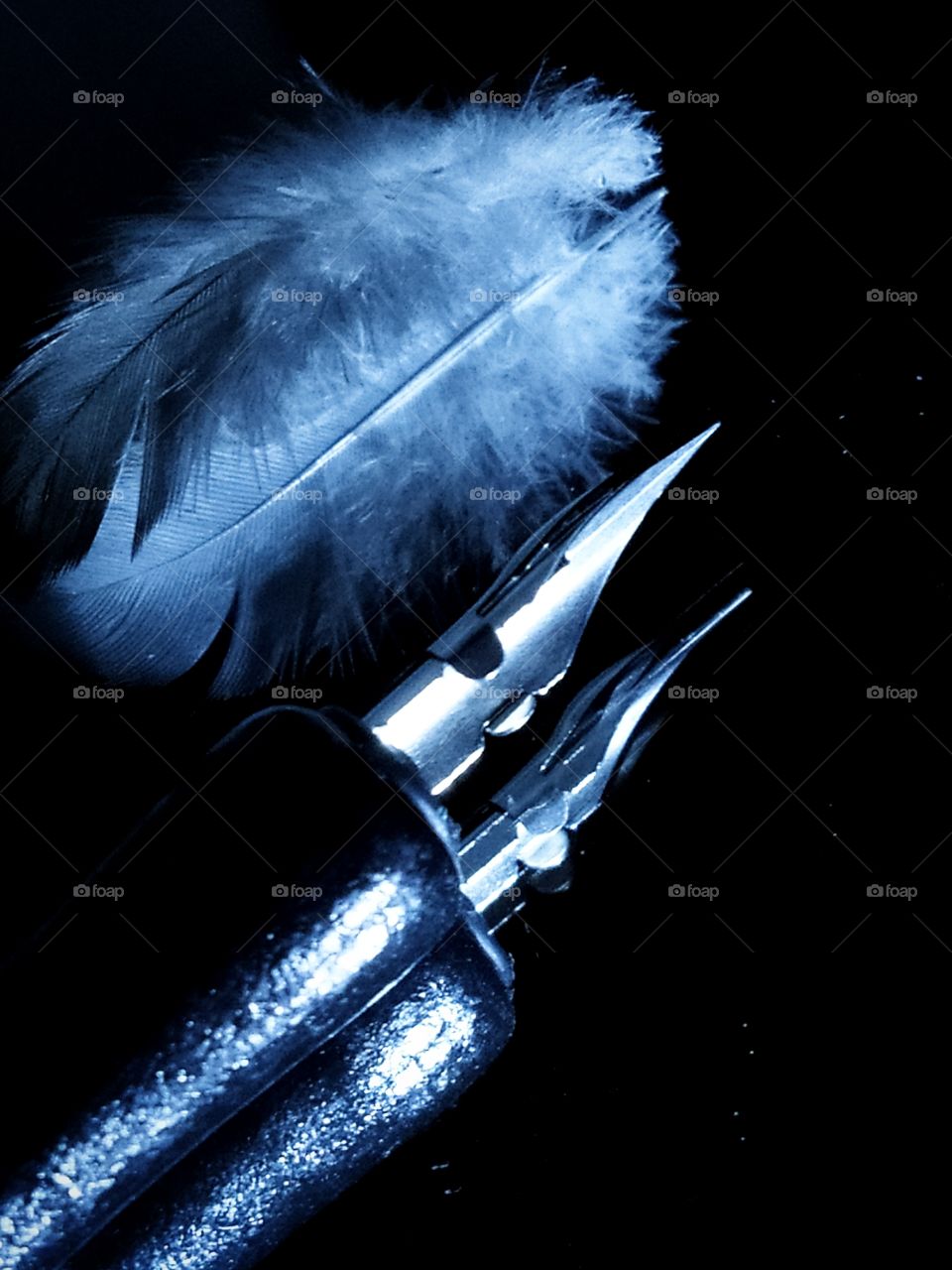 Metallic nib of an ink pen and a feather of a dove.  Two feathers