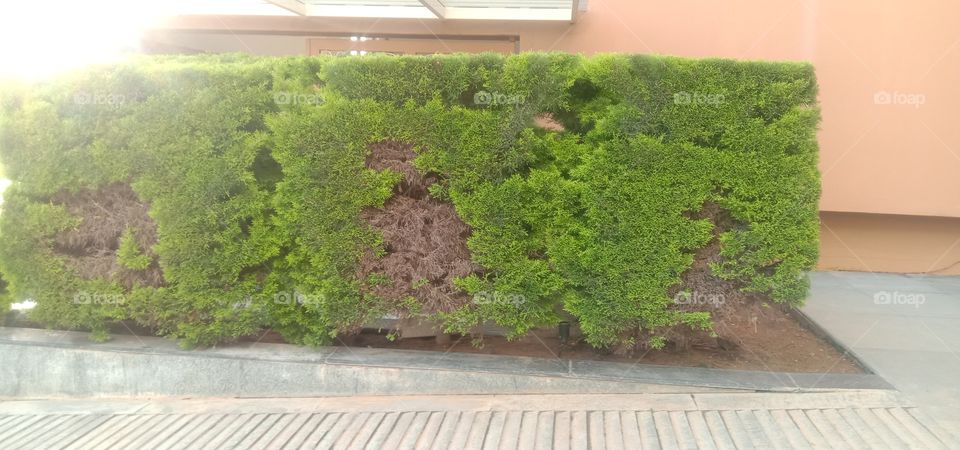 it's beautiful because it's not perfect just for the one who sees it's beauty.❤️✨