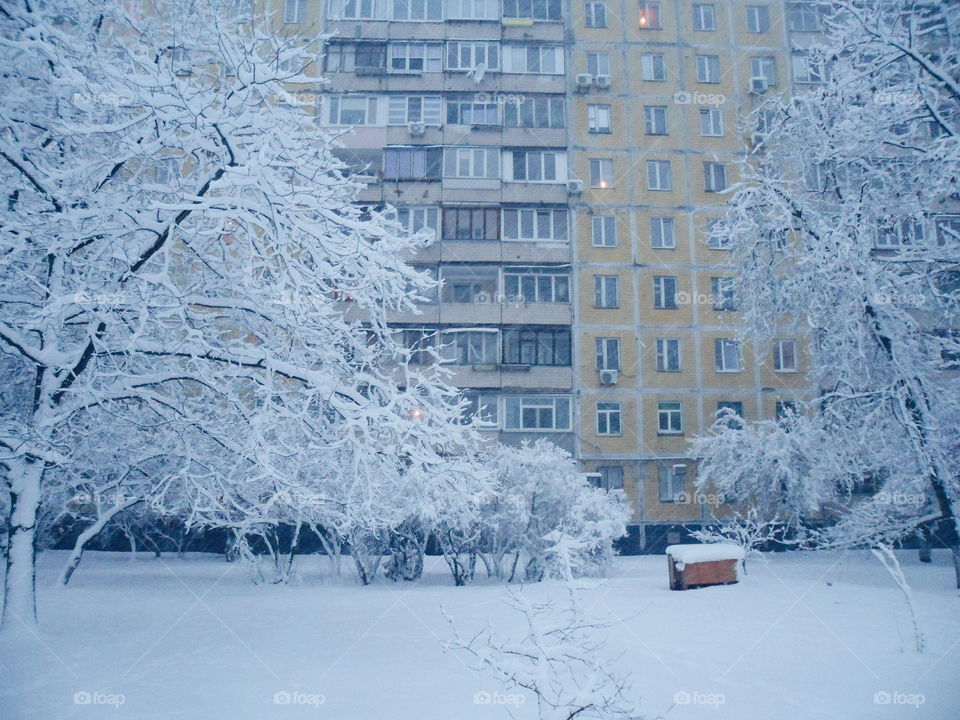 winter in the city of Kiev, Ukraine