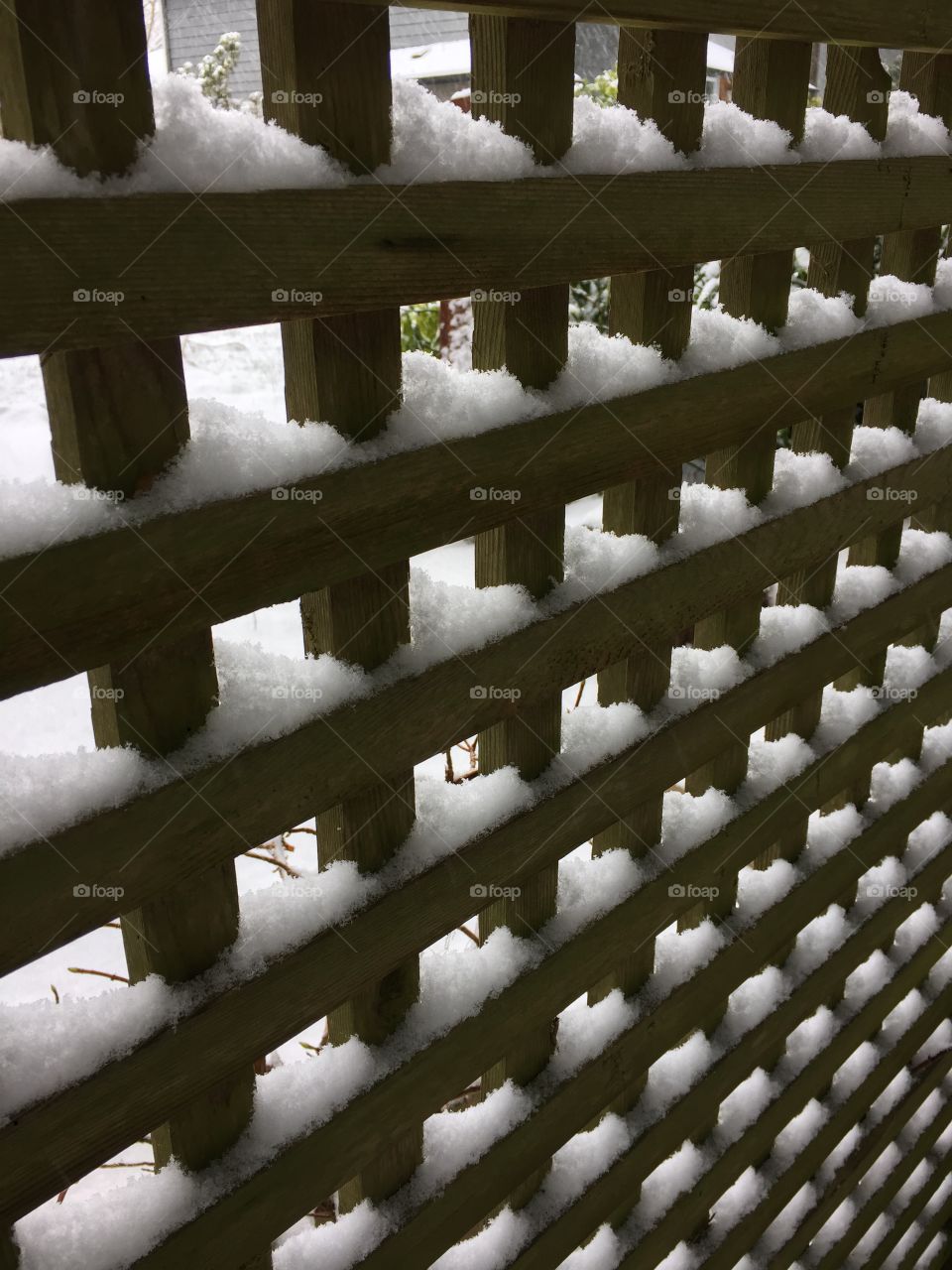 Snow fence