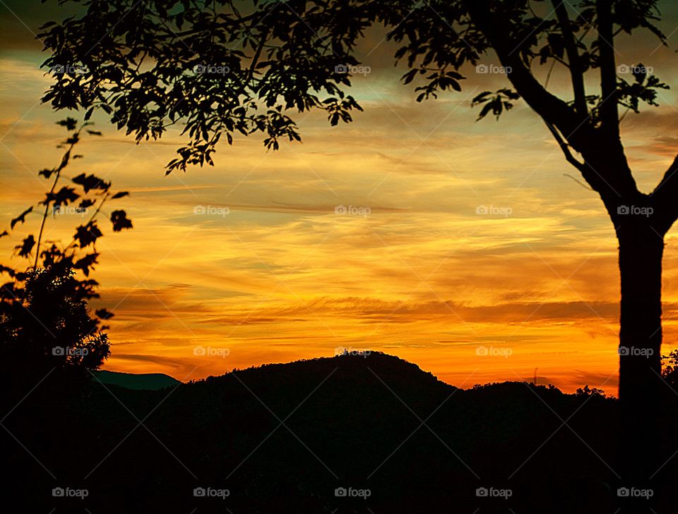 Each day is born with a sunrise and ends in a sunset, the same way we open our eyes to see the light, and close them to hear the dark