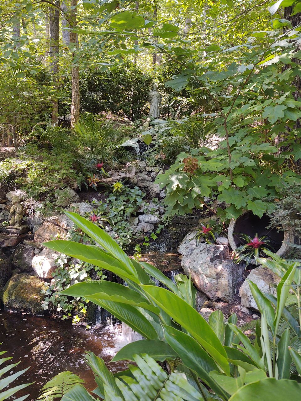 green tropical creek