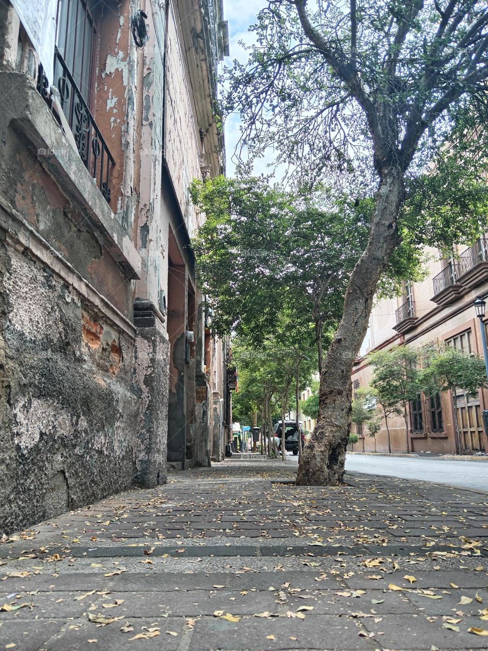 Guadalajara street