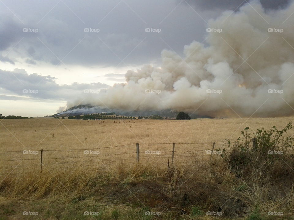 bushfire