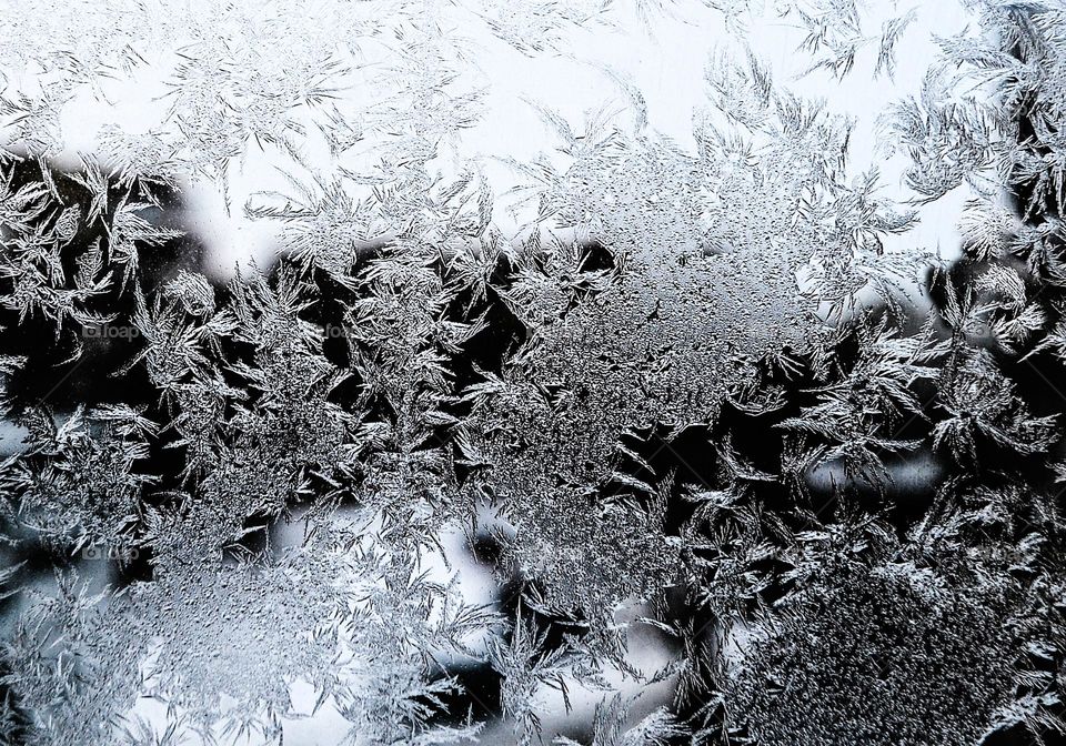 Frosty Marvels Nature's Ice Artistry, Frozen Window