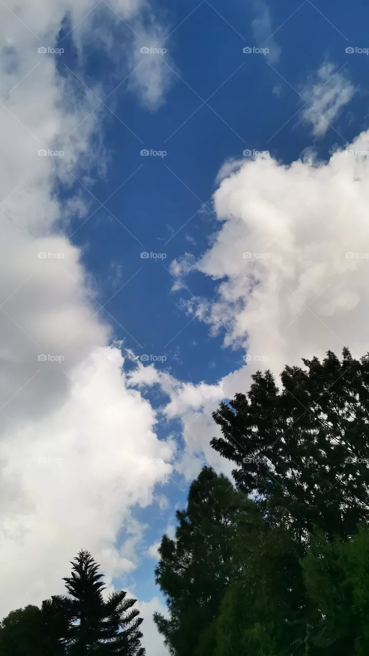 Sky