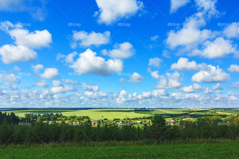 Summer rural landscape