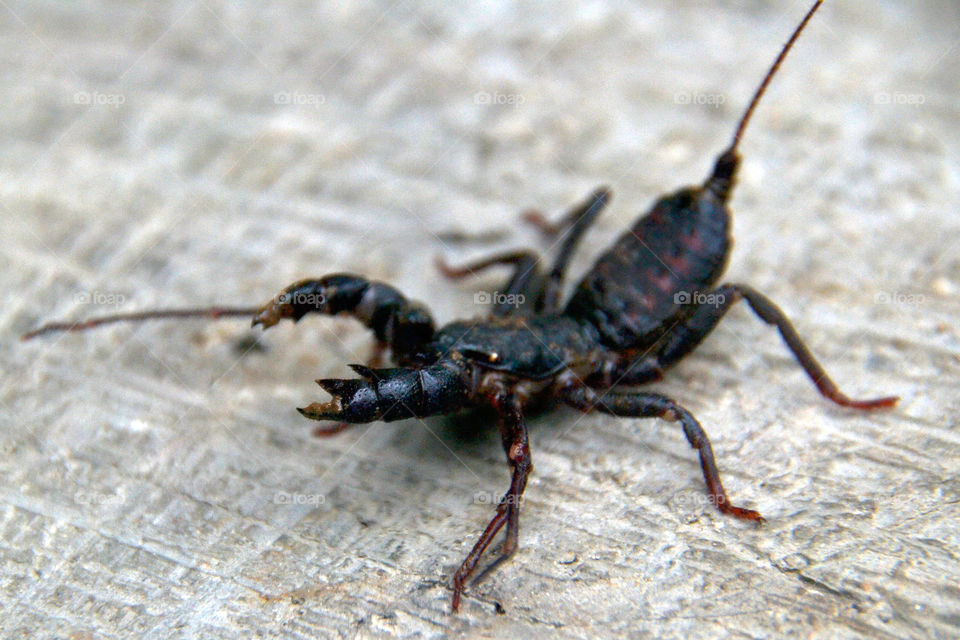 Ketonggeng Dancing On The Floor