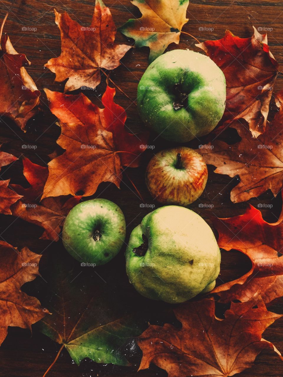 Apples and fall