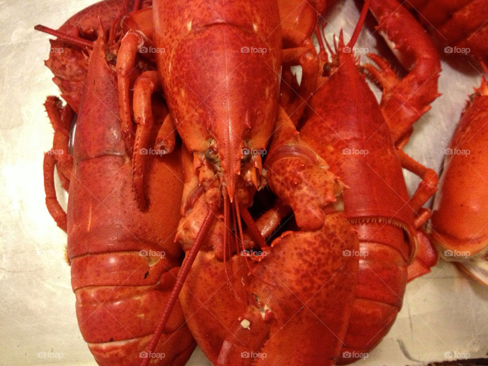 Lobsters