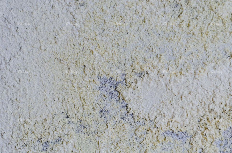 Mildew Wall