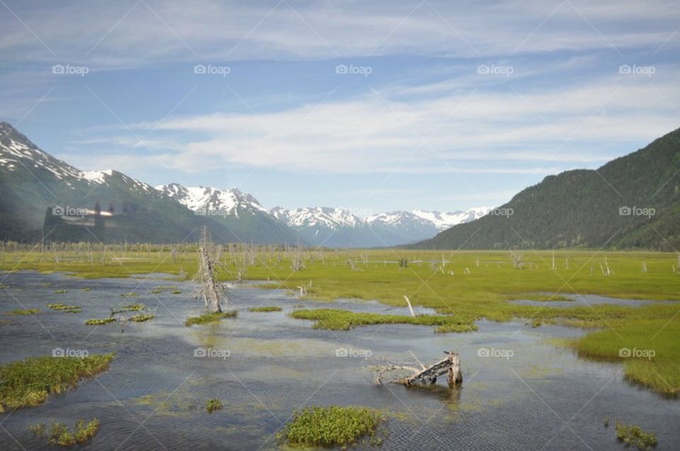 Alaska in The Summer 