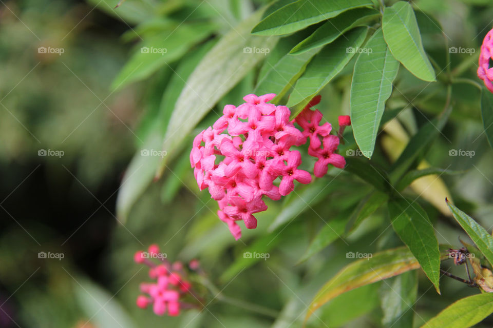 green spring happy nature by itsAus