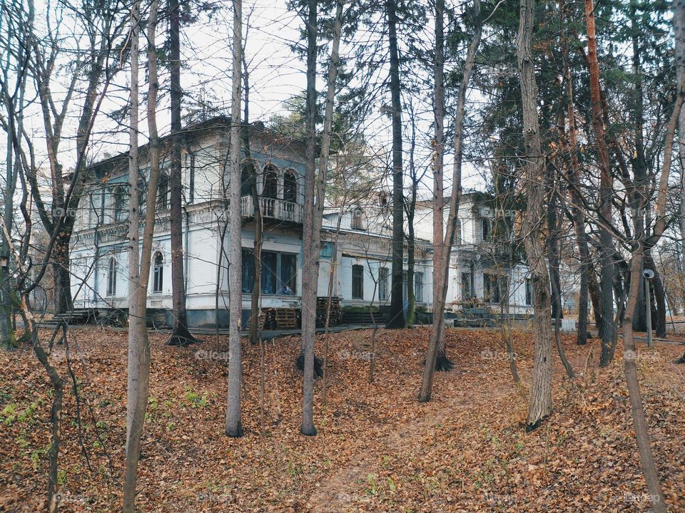 in autumn park in Kiev city, autumn