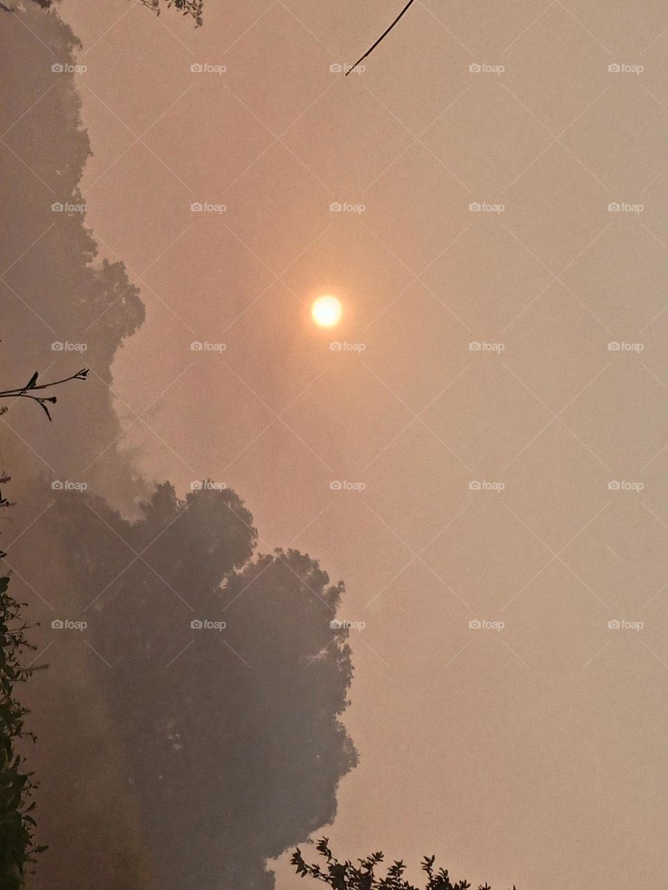 sunrise time natural photography sunny