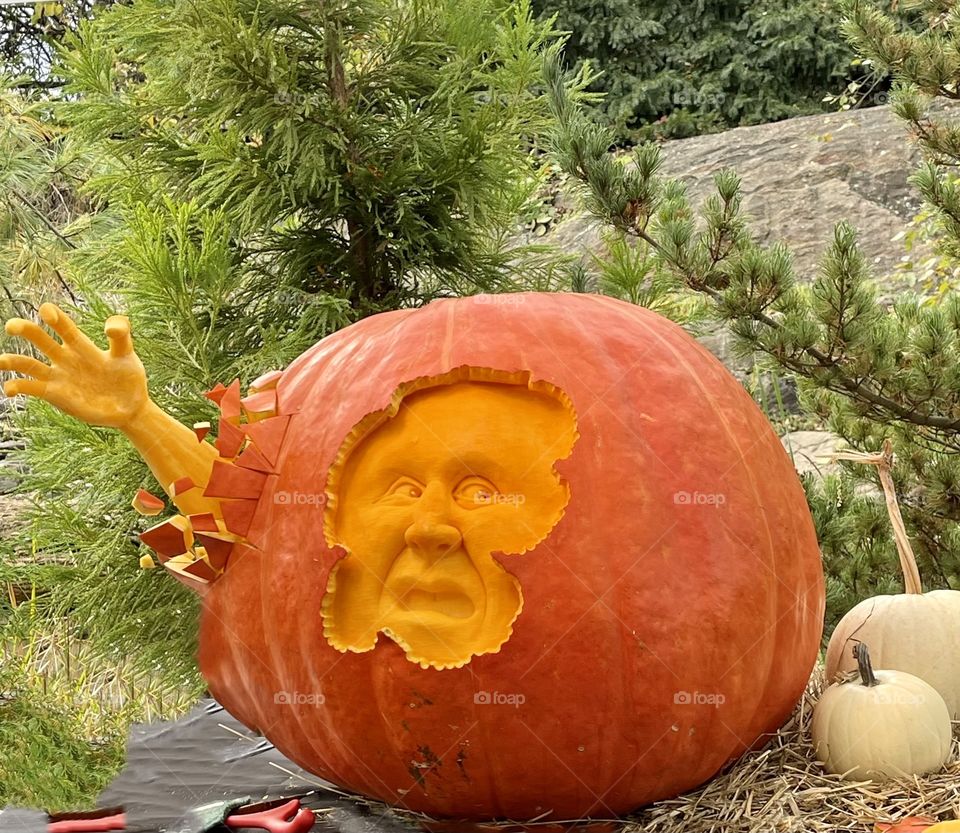 Halloween- Pumpkin carving. A 200 lb pumpkin with an amazing face carved in and a hand jutting  out. 