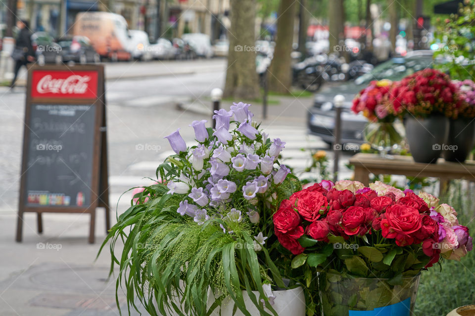 Floristeria 