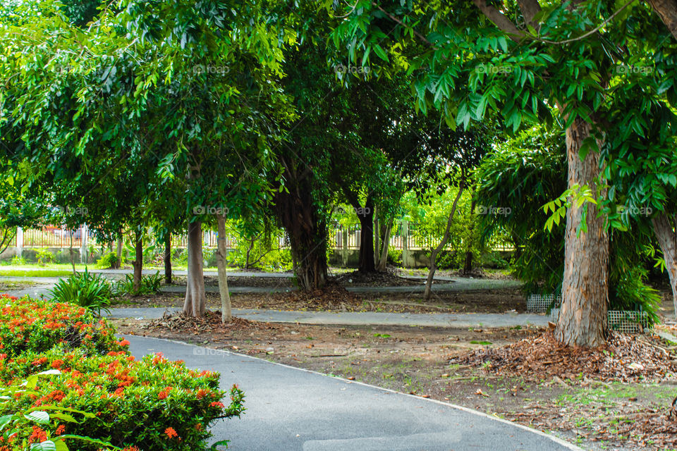 The way for running in the park.