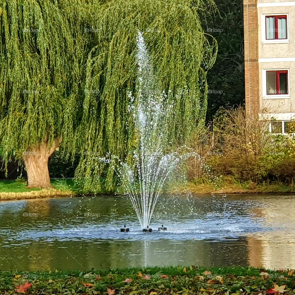 Nice fountain in spijkenisse, the Netherlands.
