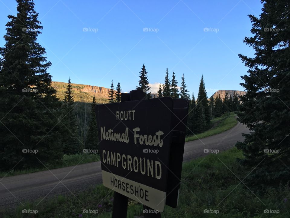 Routt national forest. Horseshoe campground. 