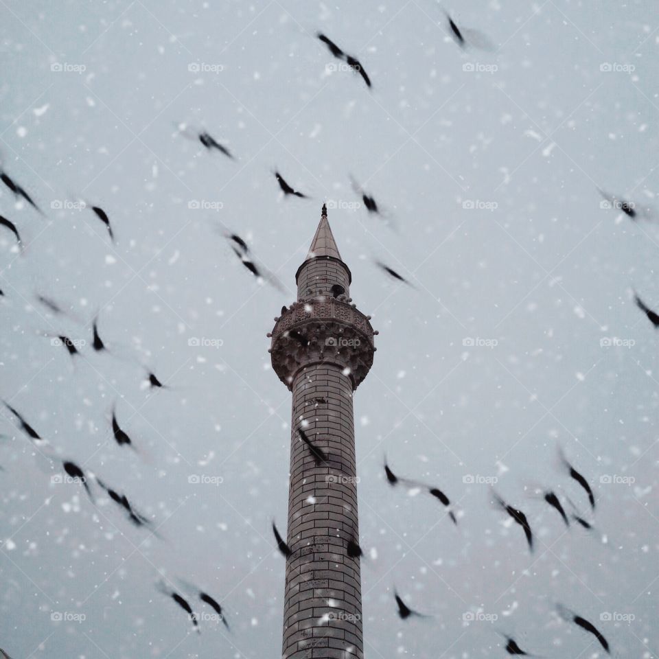 Mosque birds and snow