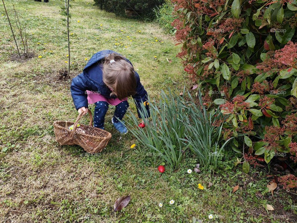Easter - Egg hunt