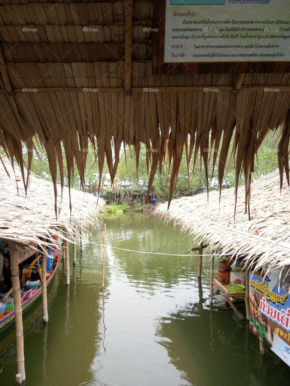 floating market
river
sea
house