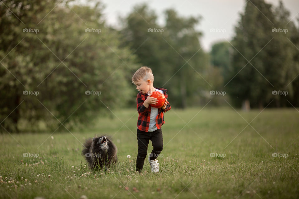 Little boy playing with his dog in soccer in a park 