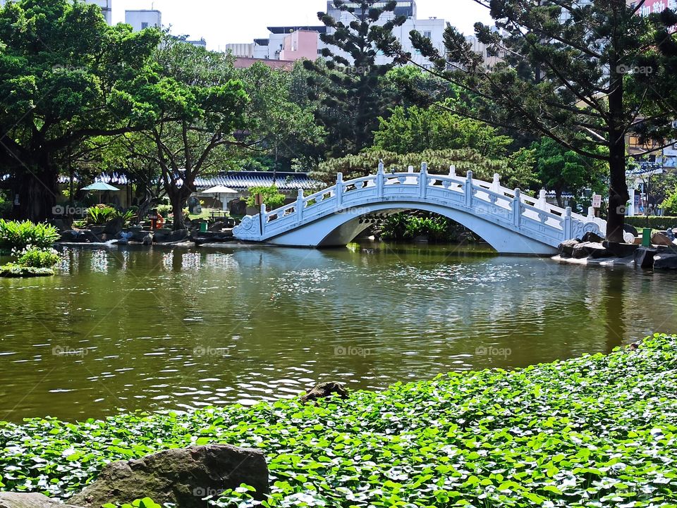 A bridge on a pond.