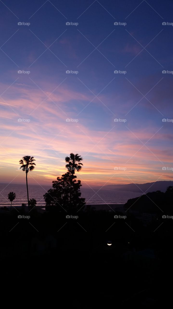 Palm tree sunset . Taken in Santa Monica overlooking the ocean at sunset 