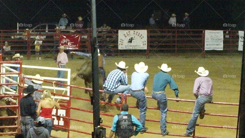 cowboys at the rodeo