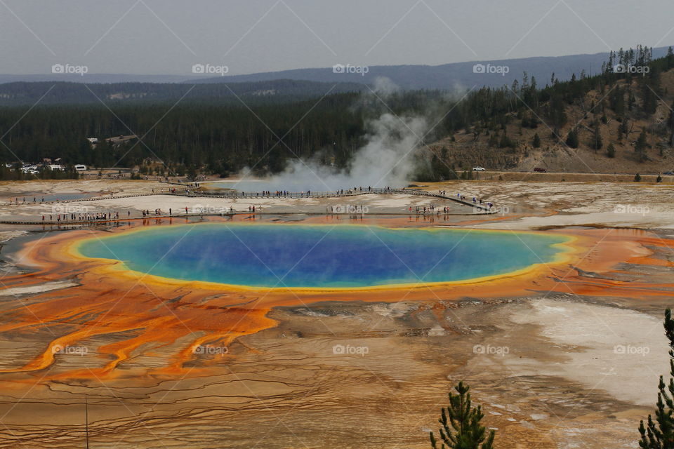 Grand Prismatic