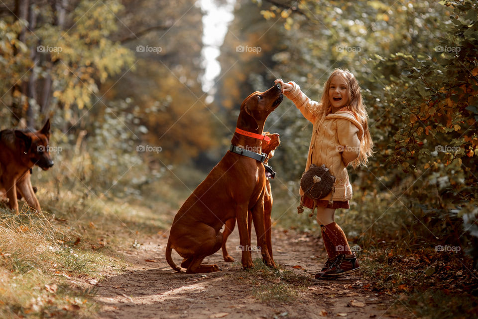 Little girl playing with dogs in an autumn park