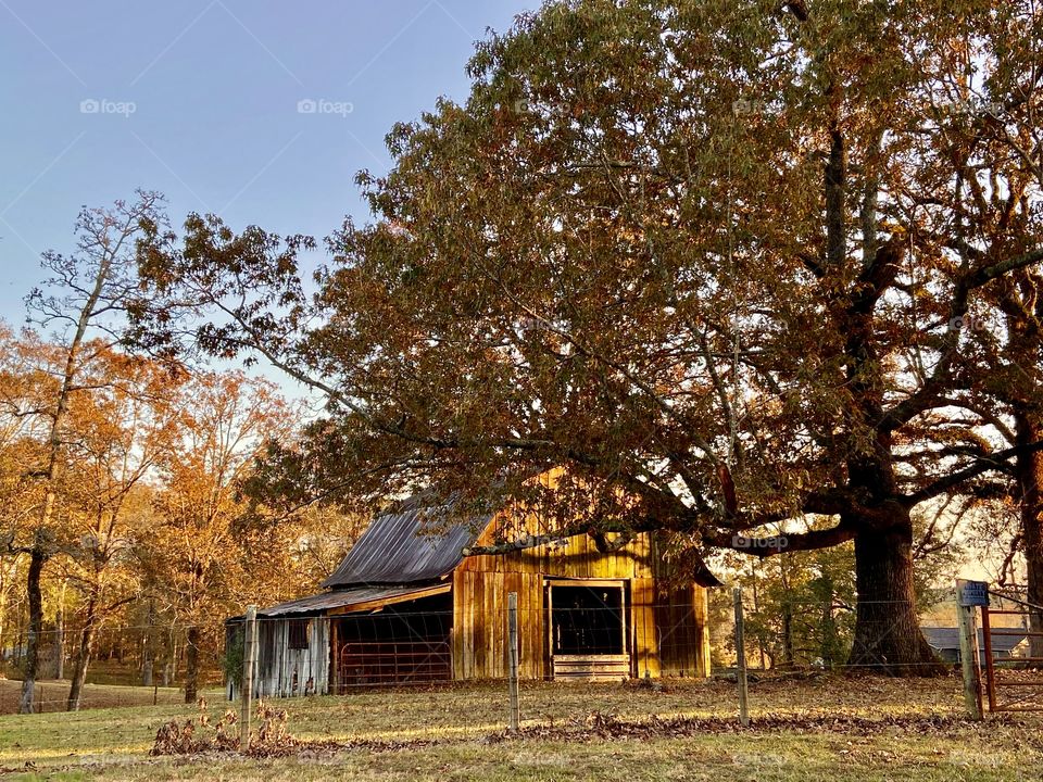 Autumn in Alabama: Barn