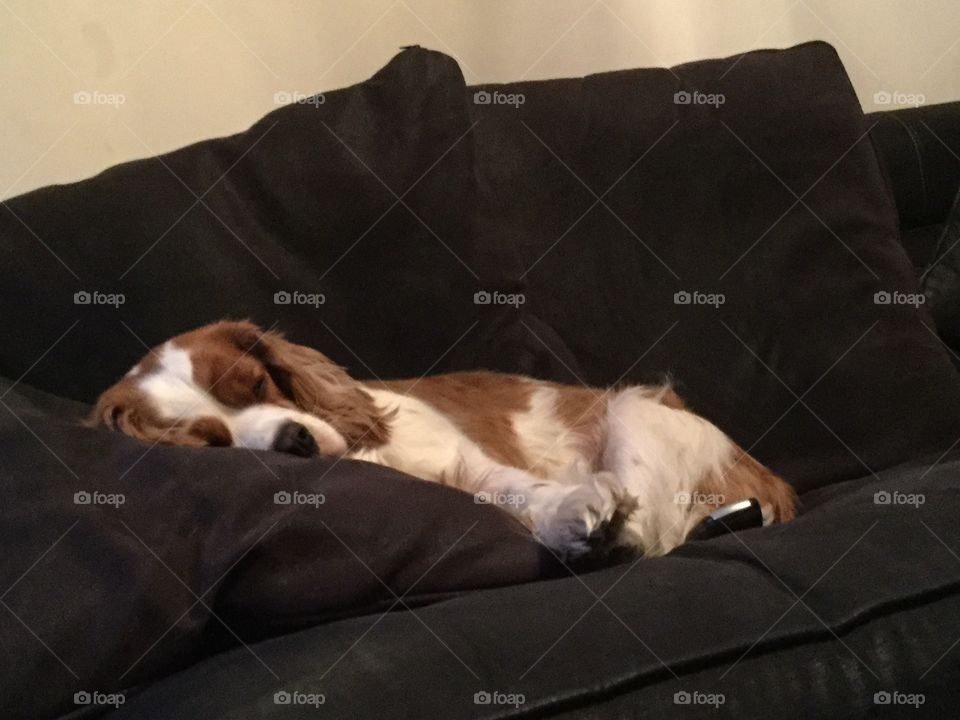 Watching tv hogging remote