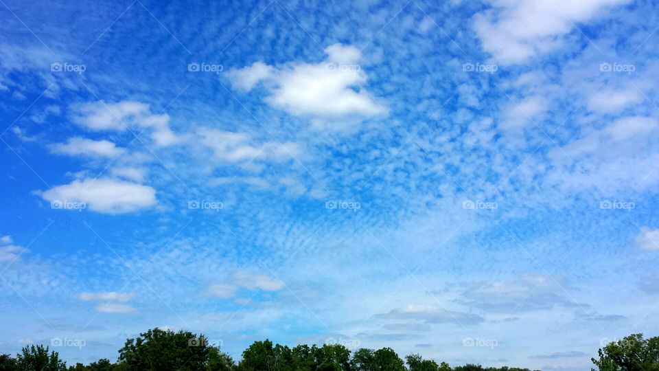 clouds & tree tops