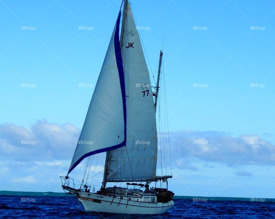 Sailing on the open waters. Sailboat sailing on the open water