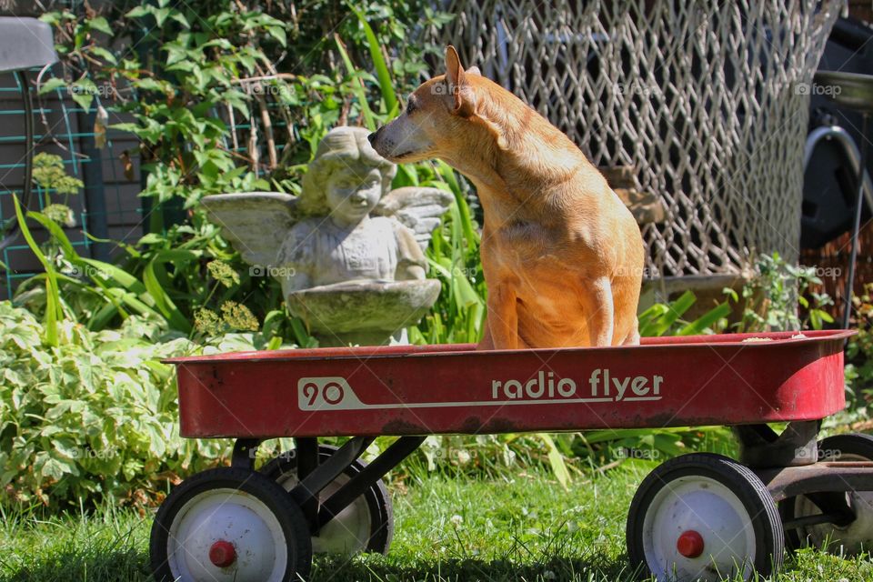 Are we going for a ride 