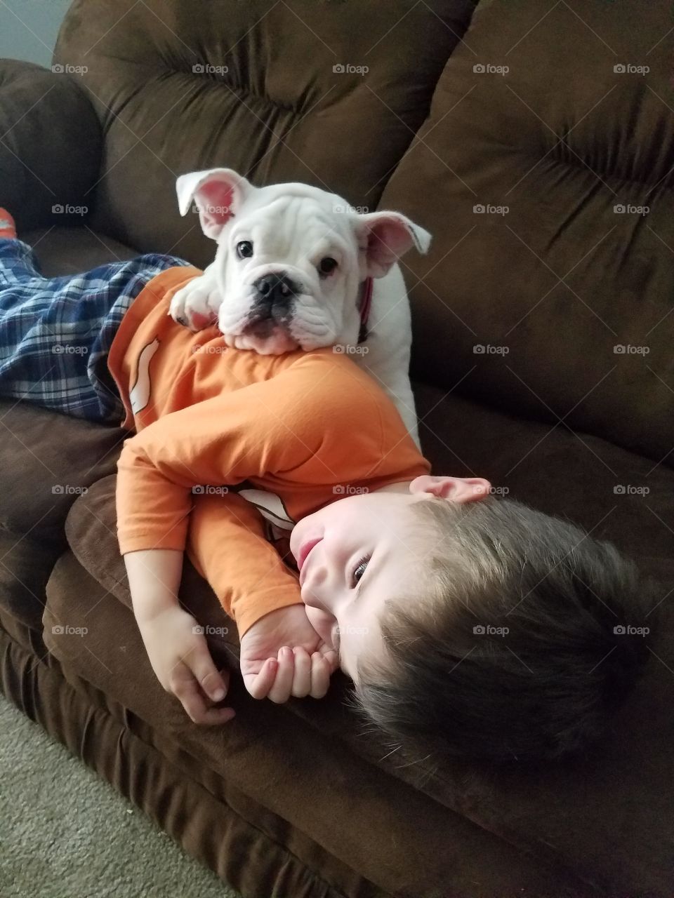 a Boy and his dog