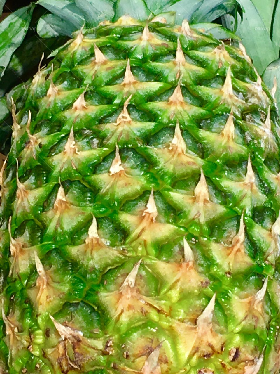 Pineapple 