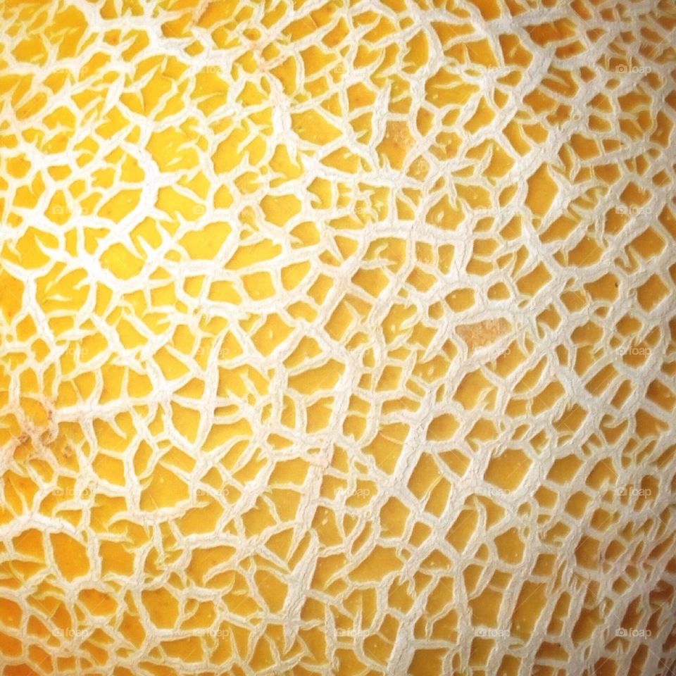 Melon skin